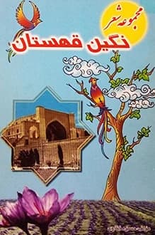 دانلود کتاب نگین قهستان نوشته حسن مختاری 1380