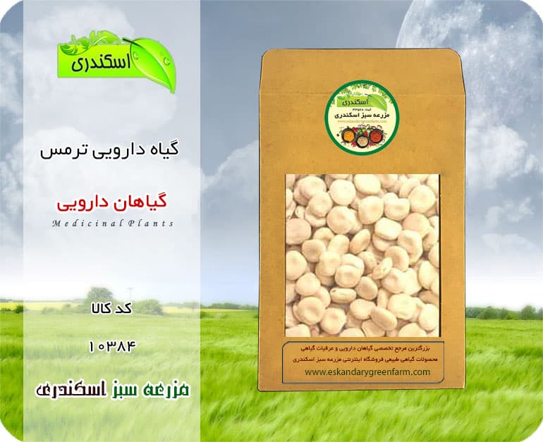 گیاه دارویی ترمس