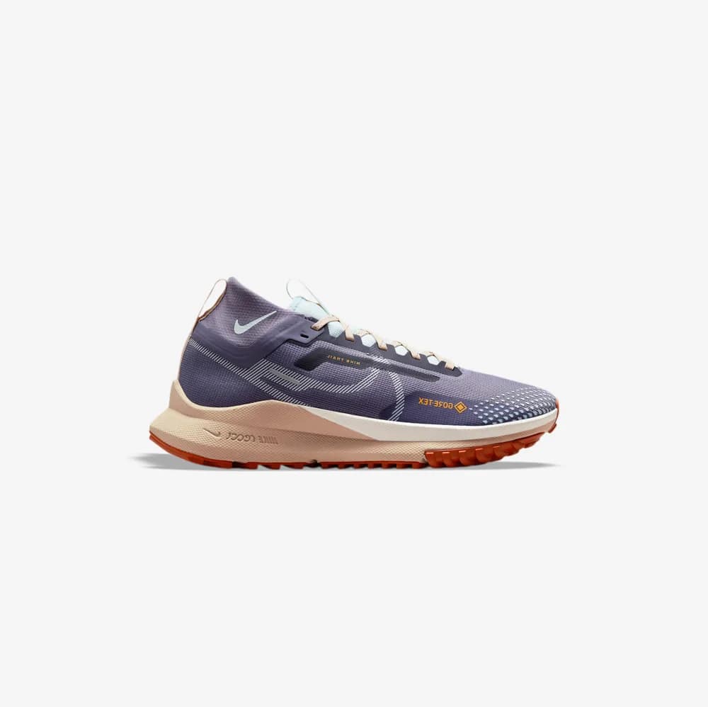 کفش دویدن Nike مدل Pegasus Trail 4 Gore-Tex – DJ7929-502