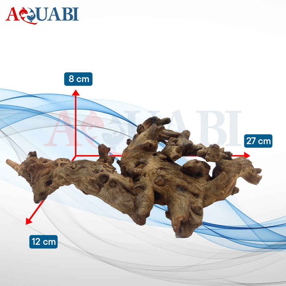 تنه چوب آبنوس آکواریوم AB-116