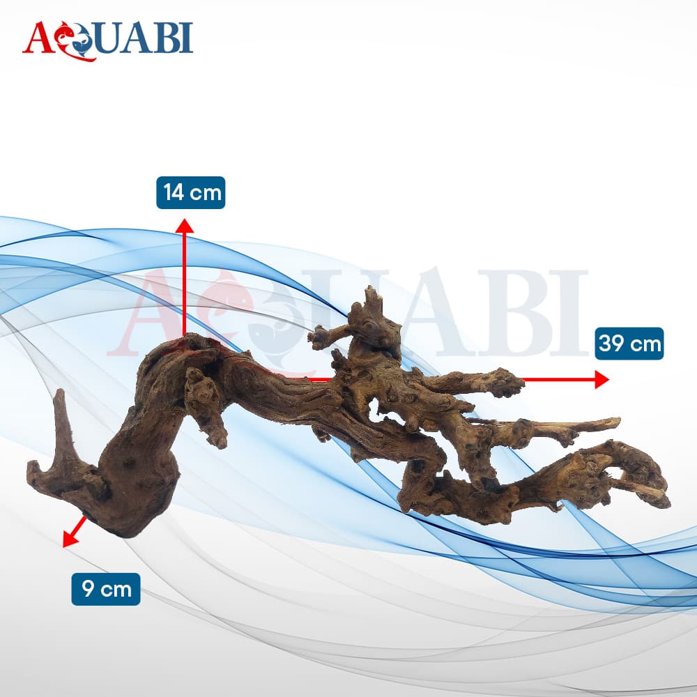 تنه چوب آبنوس آکواریوم AB-111