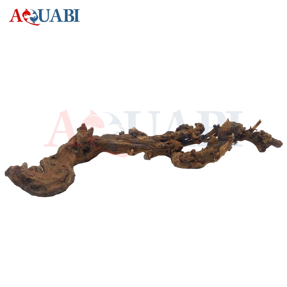 تنه چوب آبنوس آکواریوم AB-111 — تصویر ۲