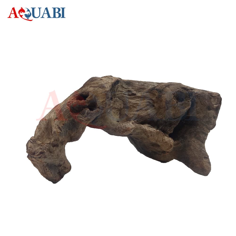 تنه چوب آبنوس AB-102 — تصویر ۲
