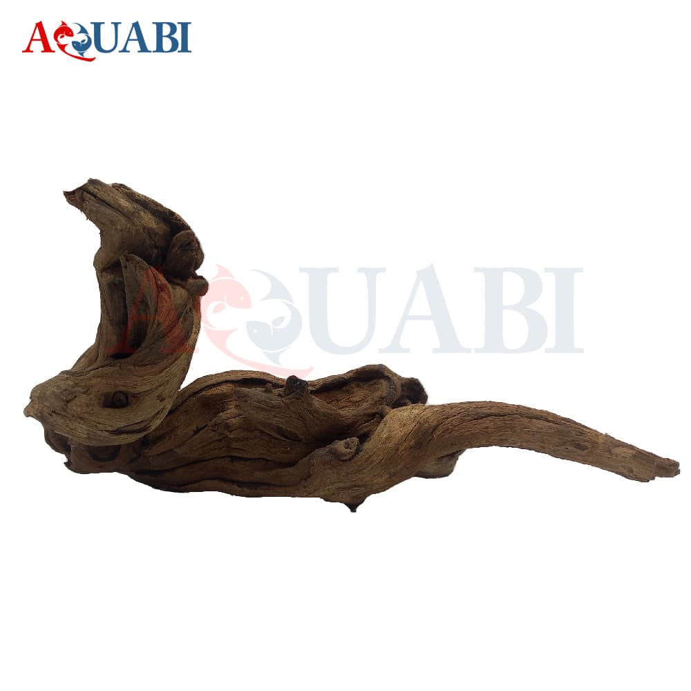 تنه چوب آبنوس AB-93 — تصویر ۵