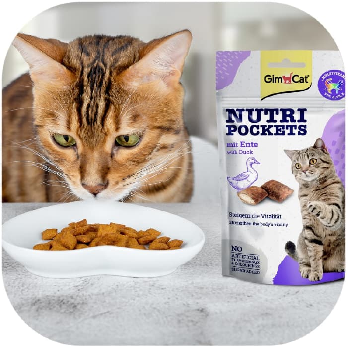 تشویقی گربه بالغ جیم کت طعم اردک وزن 60 گرم GimCat Nutri Pockets — تصویر ۲