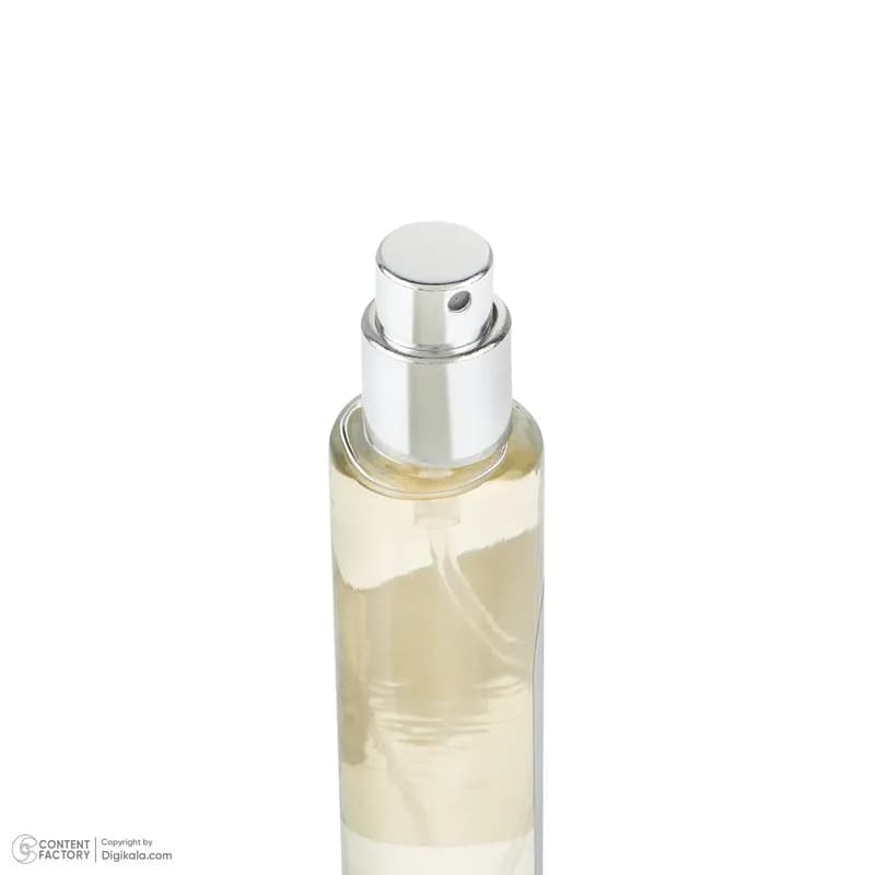 عطر جیبی مردانه صندل مدل silver mountain با رایحه خنک حجم 25 میلی‌لیتر — تصویر ۳