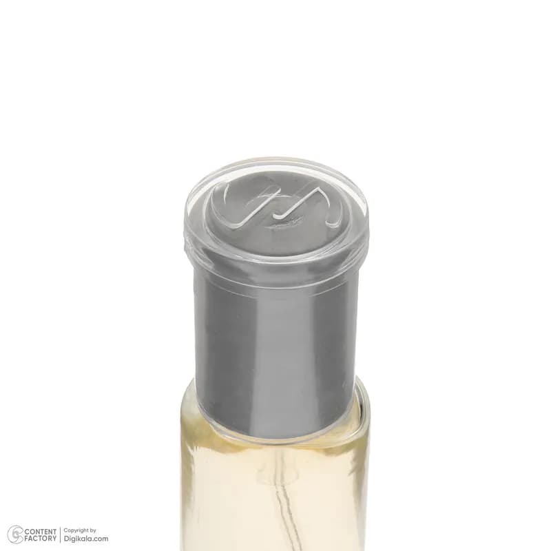 عطر جیبی مردانه صندل مدل silver mountain با رایحه خنک حجم 25 میلی‌لیتر — تصویر ۲