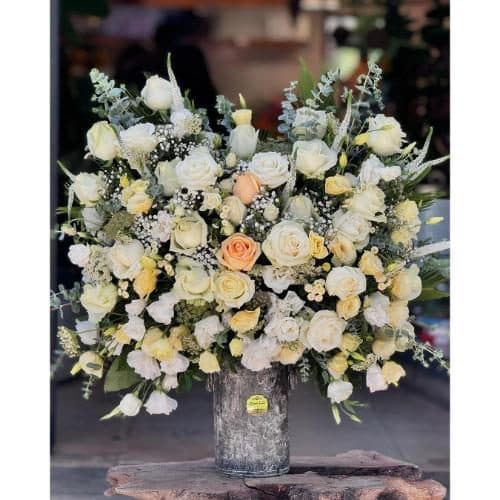 ارسال فوری گل برای آزمایشگاه پارسه 6600