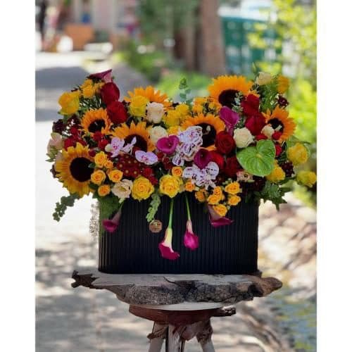 ارسال فوری گل برای آزمایشگاه فلکه سه 6515