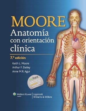 دانلود کتاب Moore 7