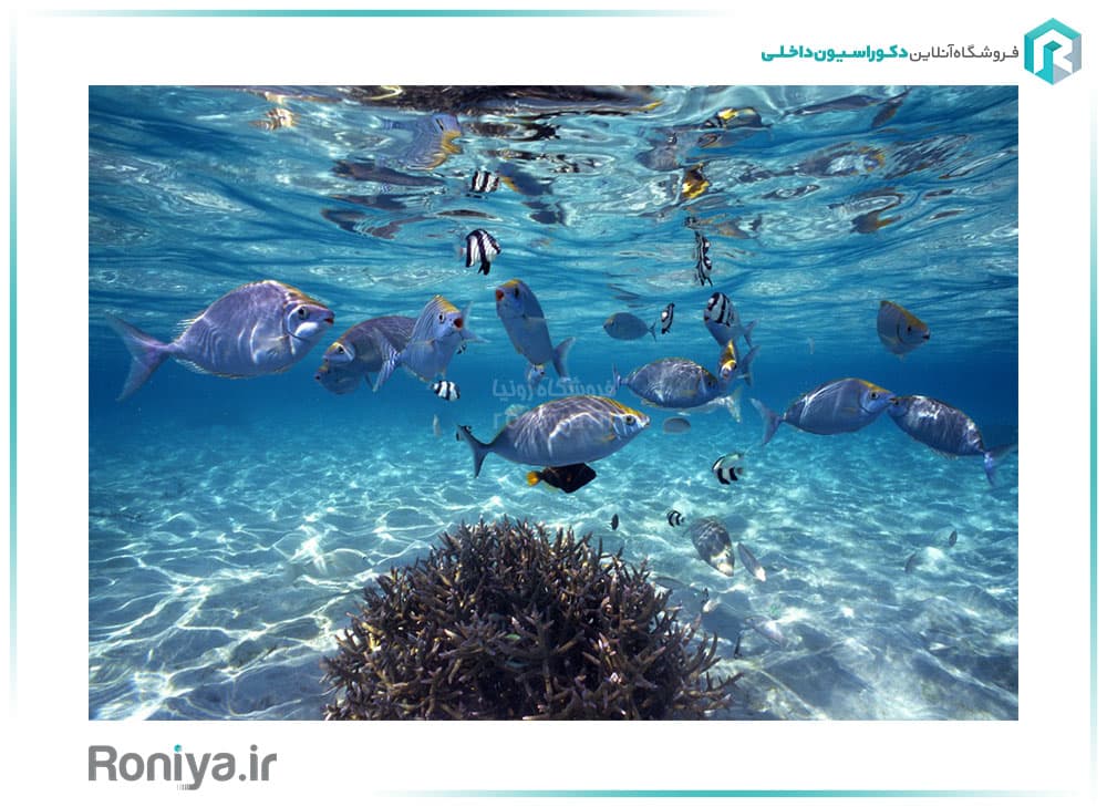 پوستر دیواری سه بعدی آکواریوم کد NT.183