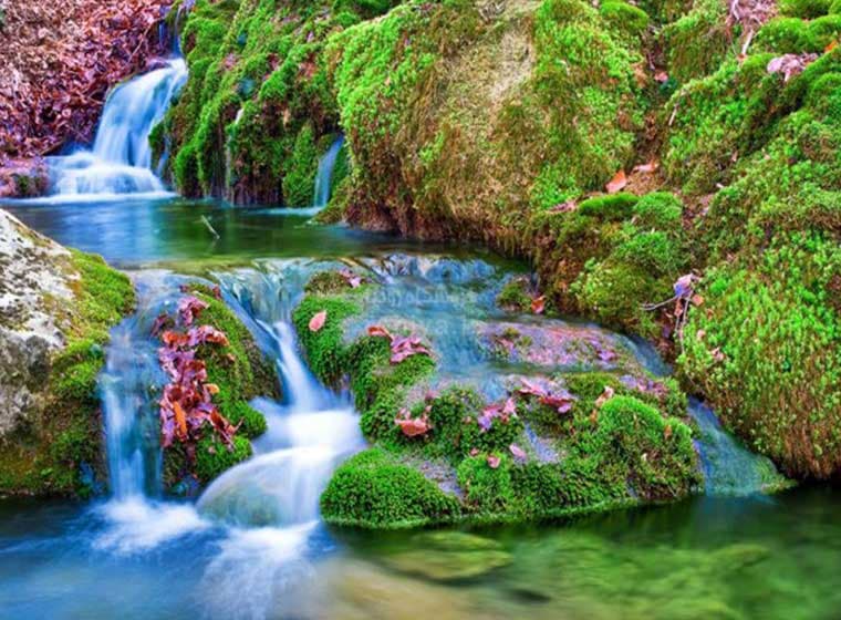 پوستر دیواری سه بعدی رودخانه کد NT-133 — تصویر ۲