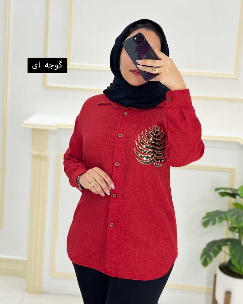 شومیزمانتویی یقه مردانه پولک دوزی کد426119 — تصویر ۷