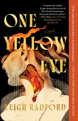 کتاب One Yellow Eye (یک چشم زرد) نسخه انگلیسی PDF | لی رادفورد — تصویر ۲
