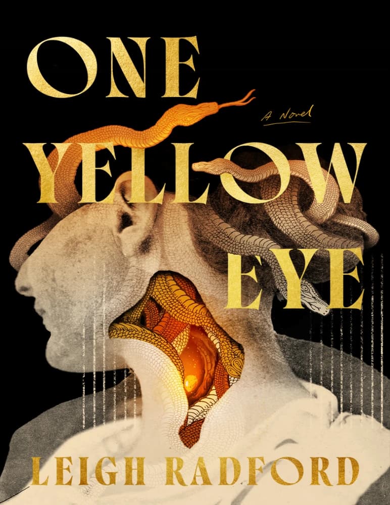 کتاب One Yellow Eye (یک چشم زرد) نسخه انگلیسی PDF | لی رادفورد