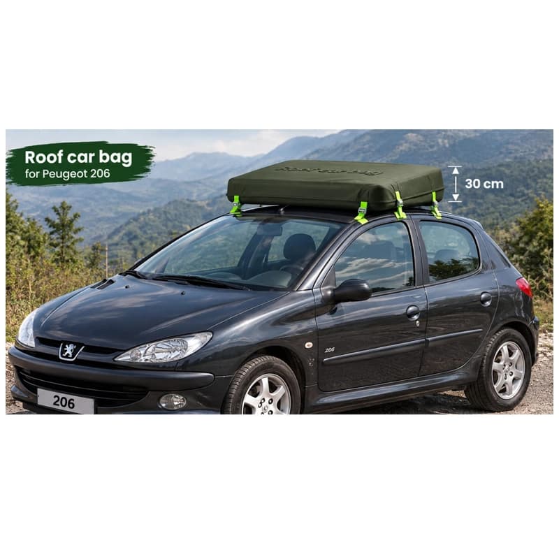 باکس برزنتی سقفی خودرو 206 Roof Car Bag