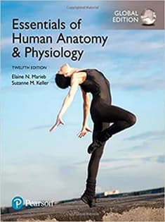 دانلود کتاب Essentials of Human Anatomy & Physiology