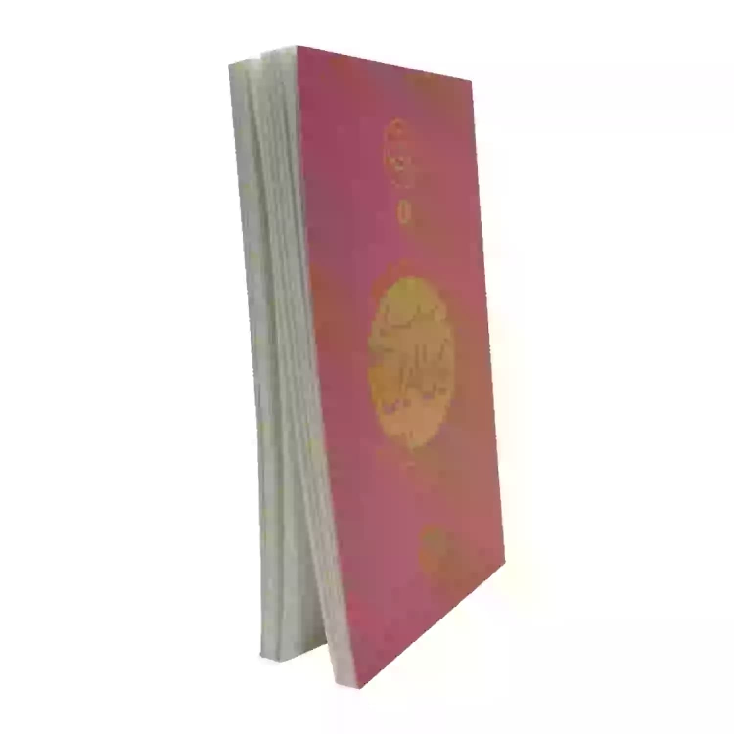 کتاب شهید مهدی زین الدین-مجموعه نیمه پنهان ماه5-روایت فتح کد 103865 — تصویر ۲