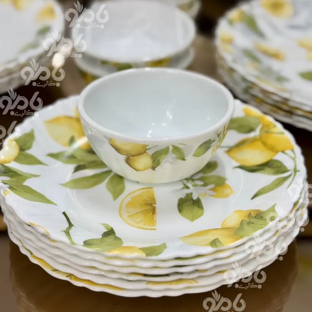 سرویس آرکوپال 25پارچه کد621 — تصویر ۲