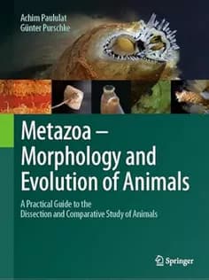 دانلود کتاب Metazoa – Morphology and Evolution of Animals