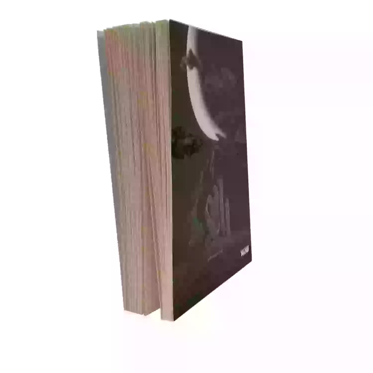 کتاب راهی-رمان مذهبی-کتابستان کد 103801 — تصویر ۲