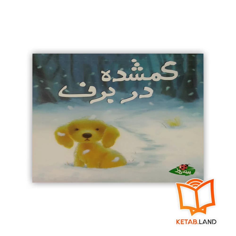کتاب گمشده در برف