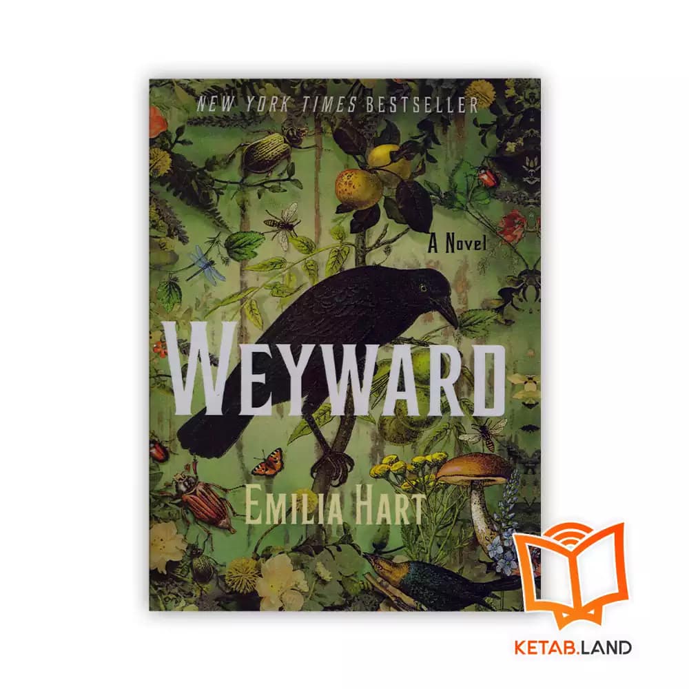 کتاب Weyward