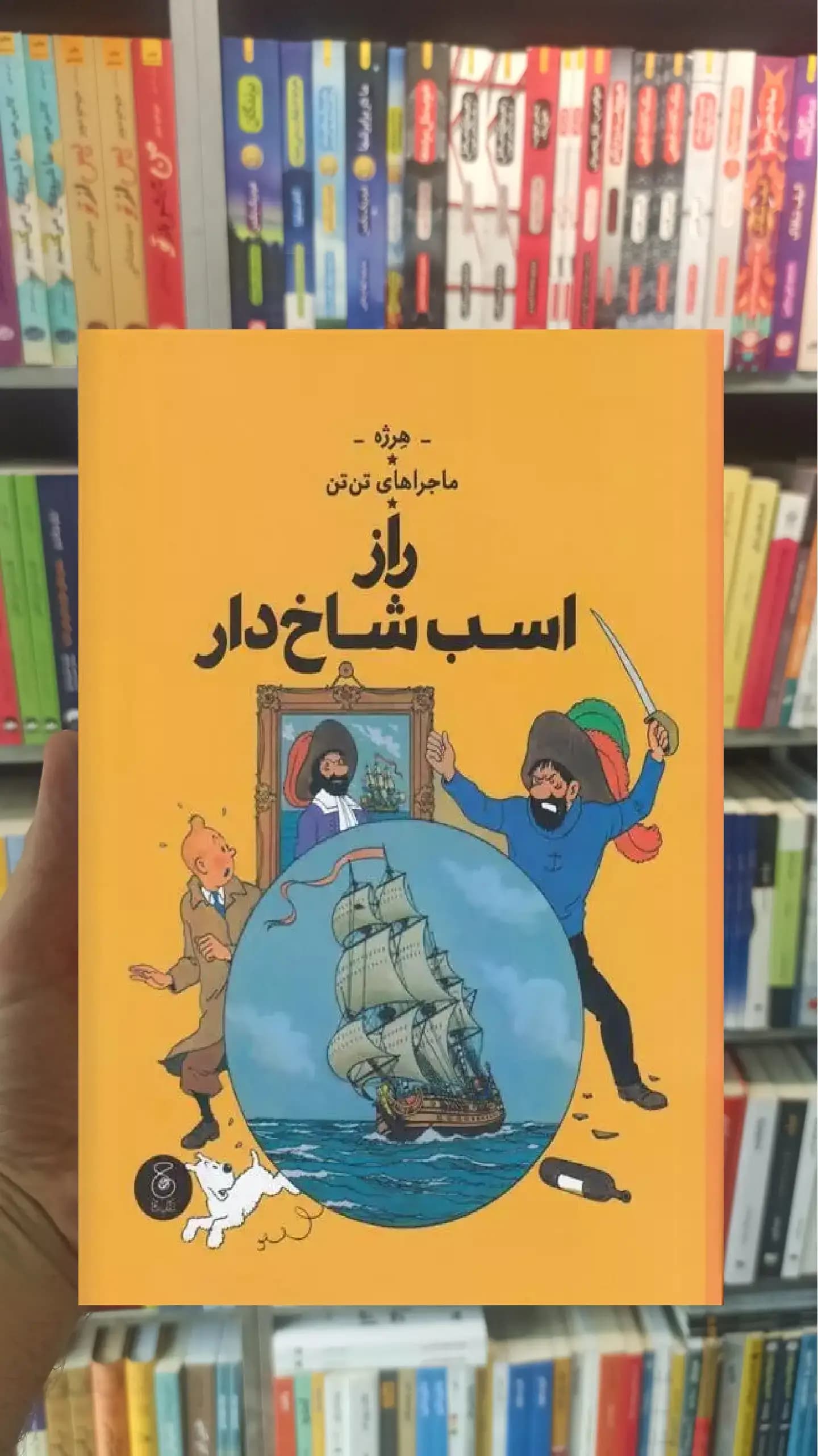 راز اسب شاخ دار چشمه