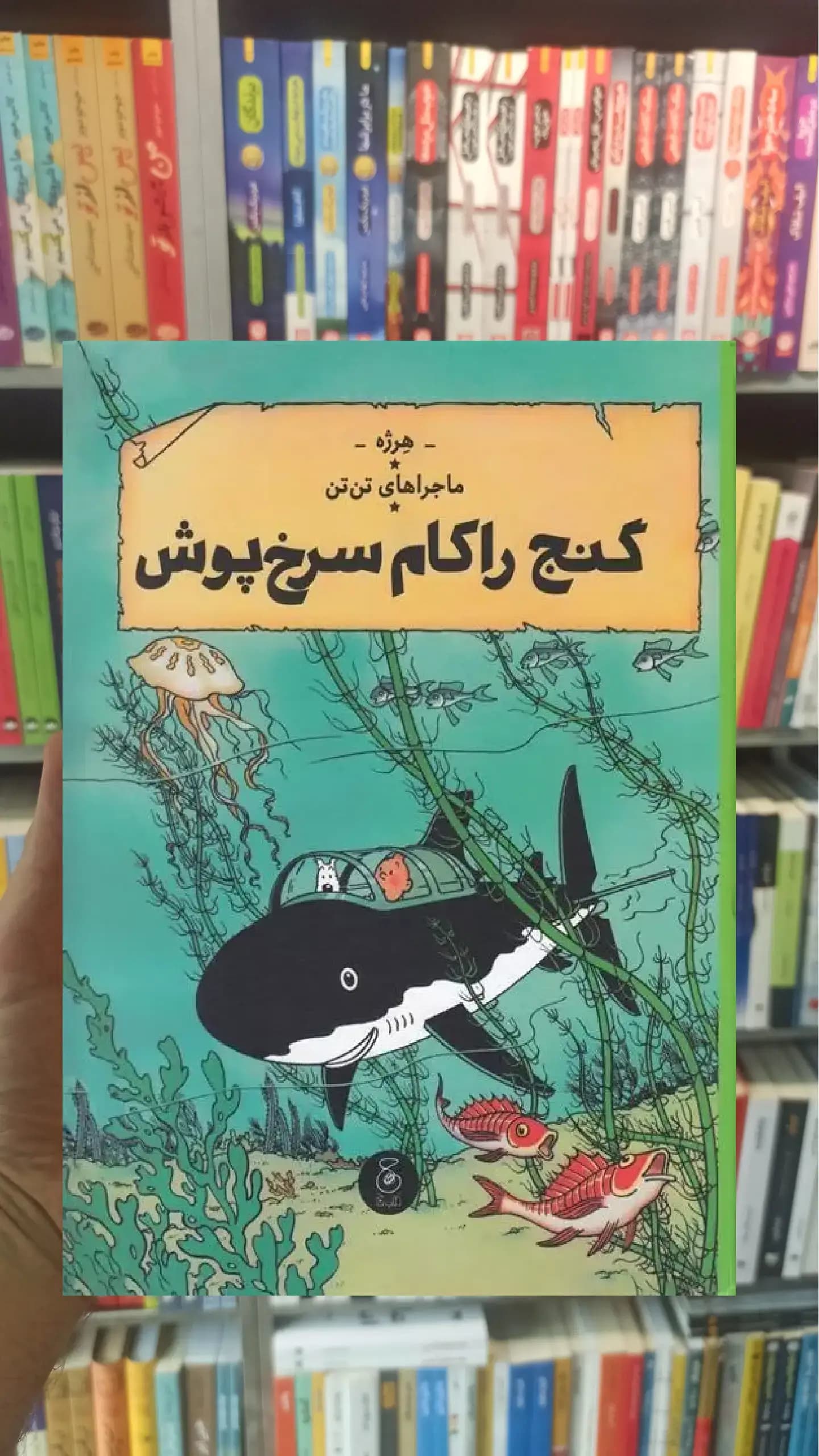 گنج راکام سرخ پوش چشمه