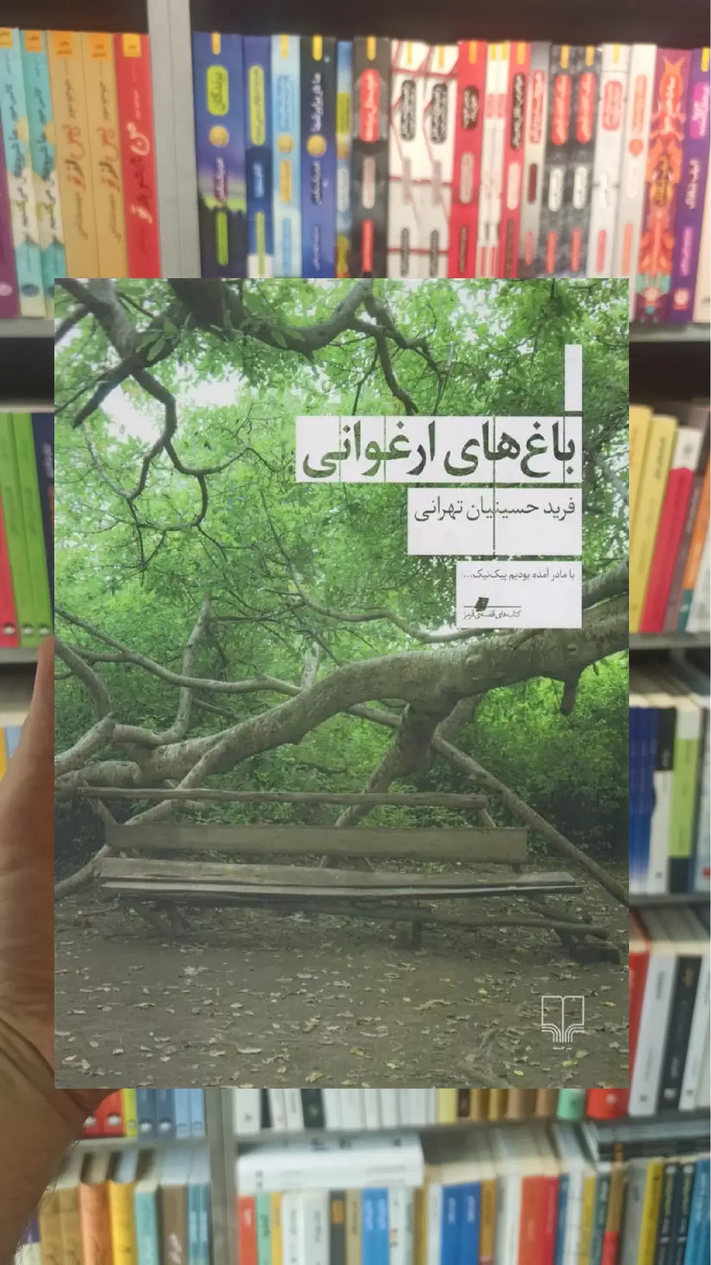 باغ های ارغوانی چشمه