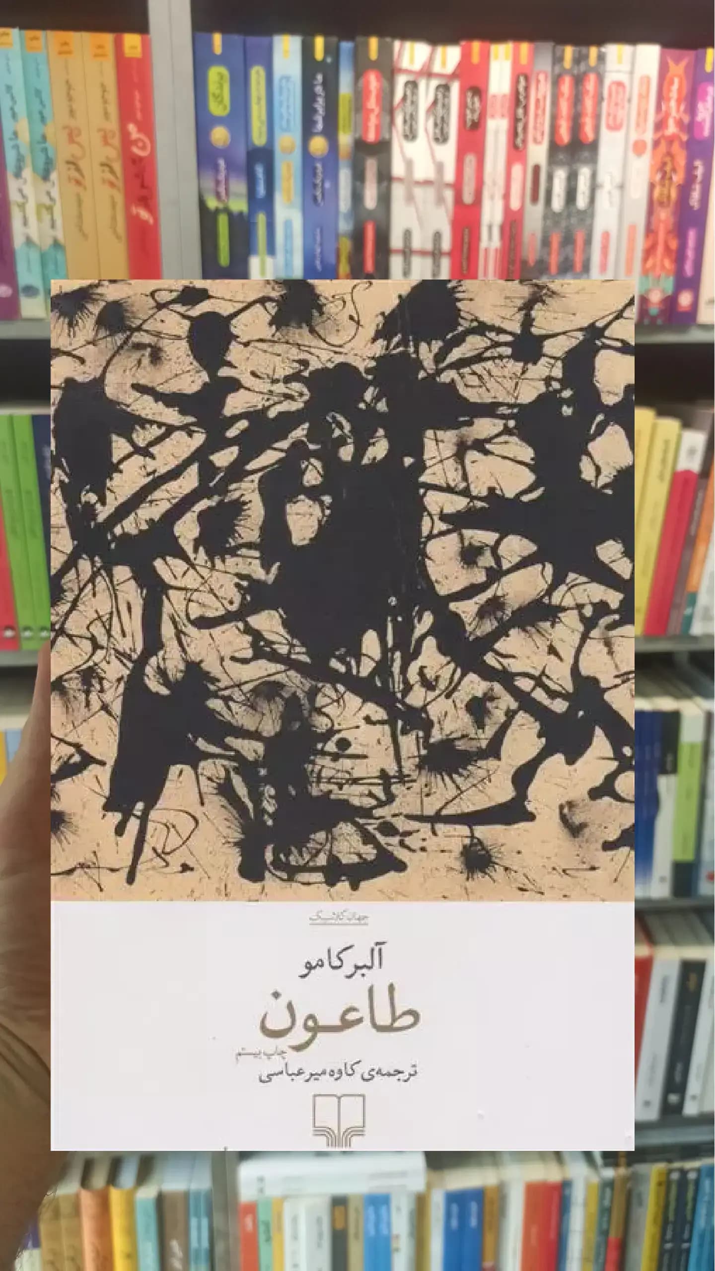 طاعون چشمه