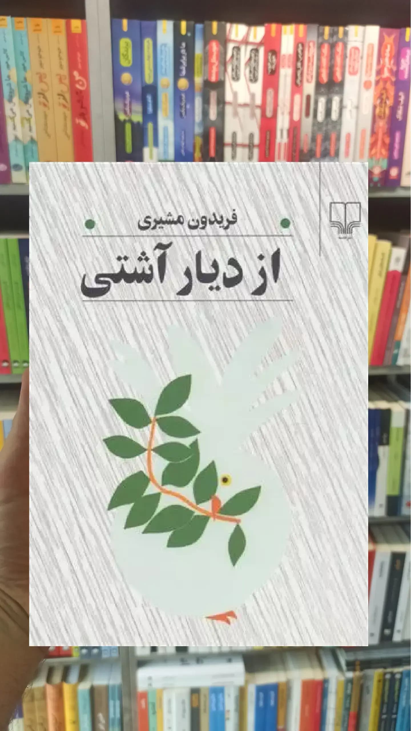 از دیار آشتی چشمه
