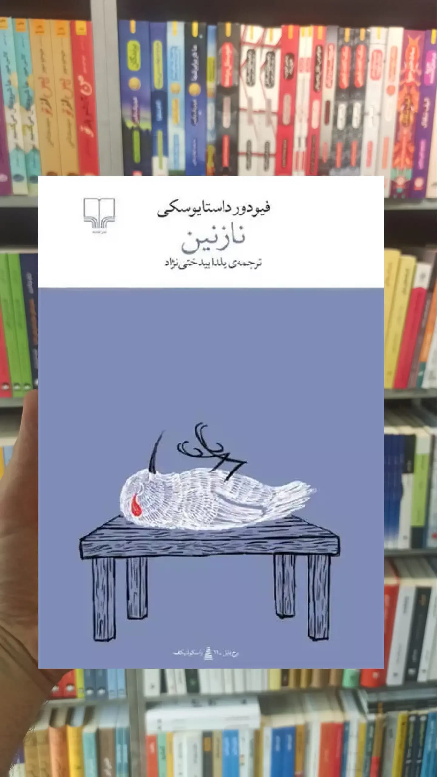 نازنین چشمه