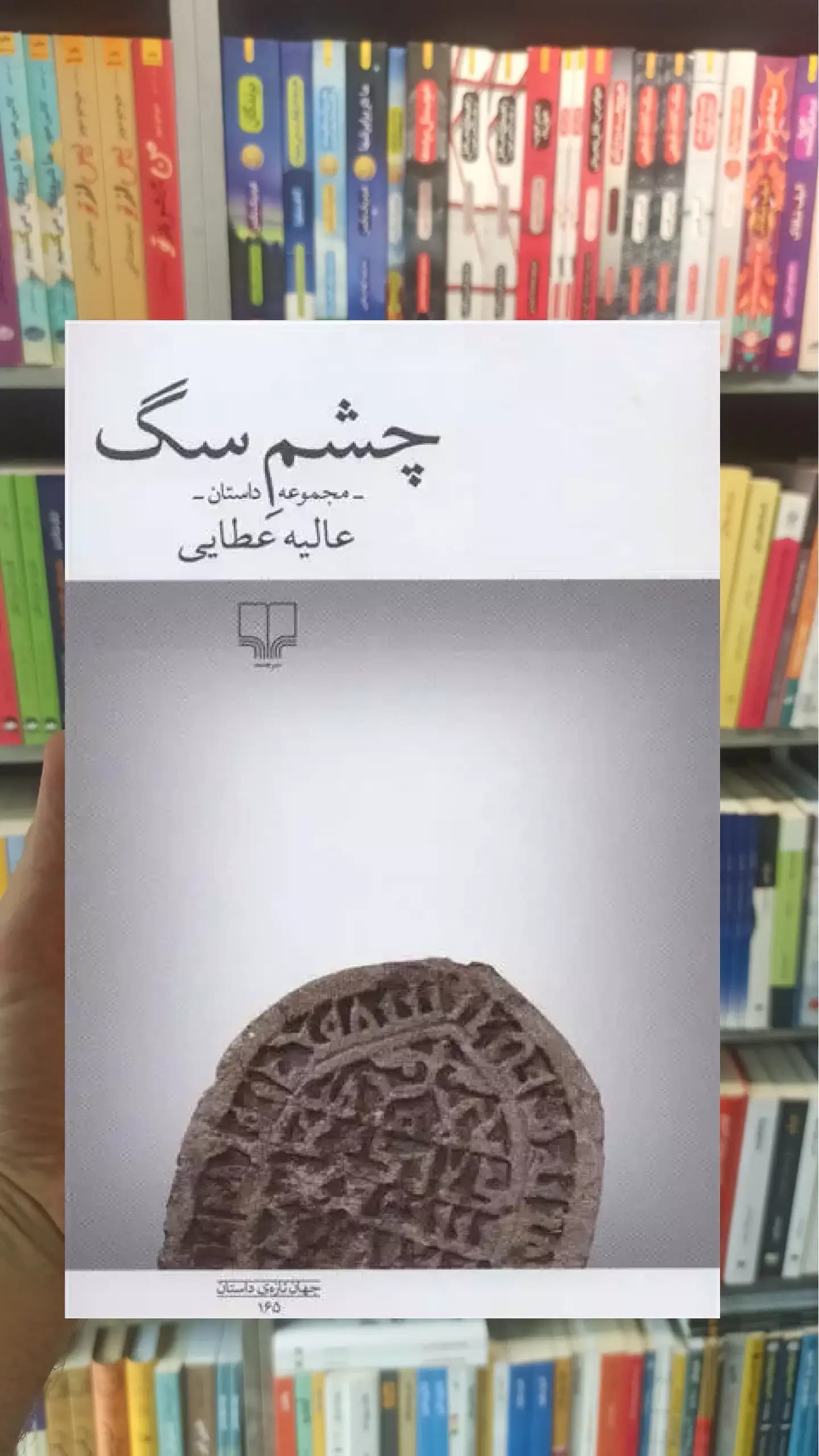چشم سگ چشمه