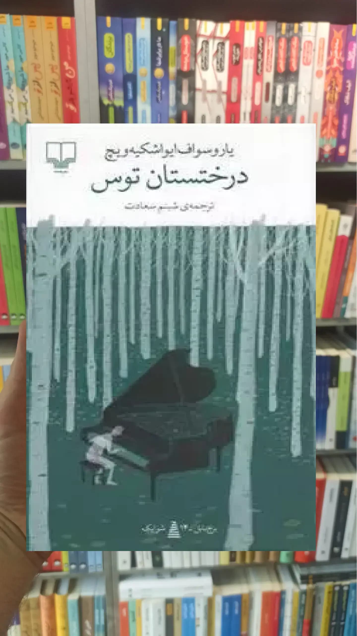 درختستان توس چشمه