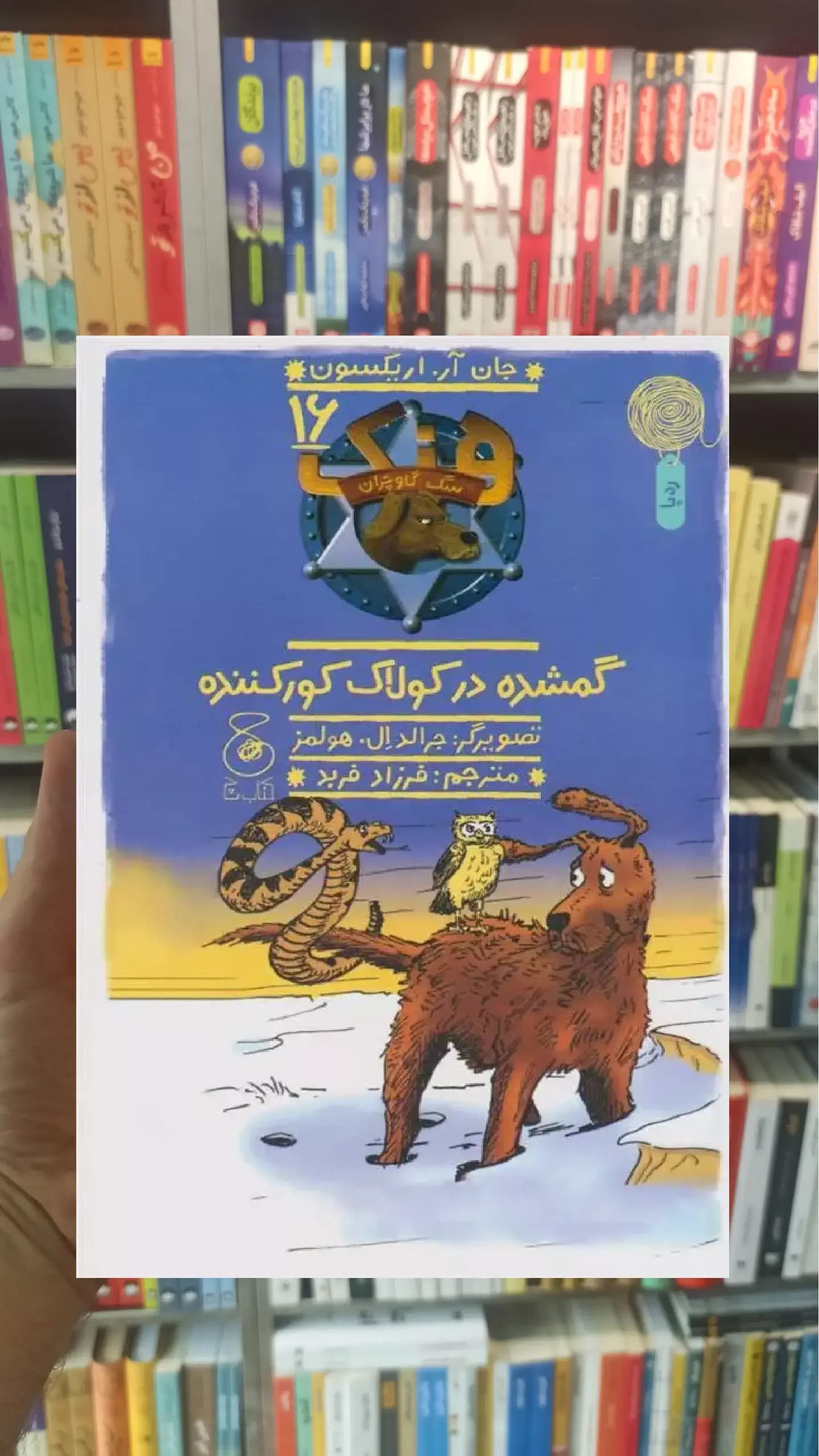 گمشده در کولاک کور کننده چشمه
