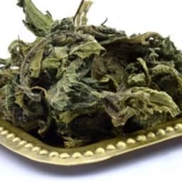 دمنوش گزنه اعلا 100 گرم — تصویر ۳