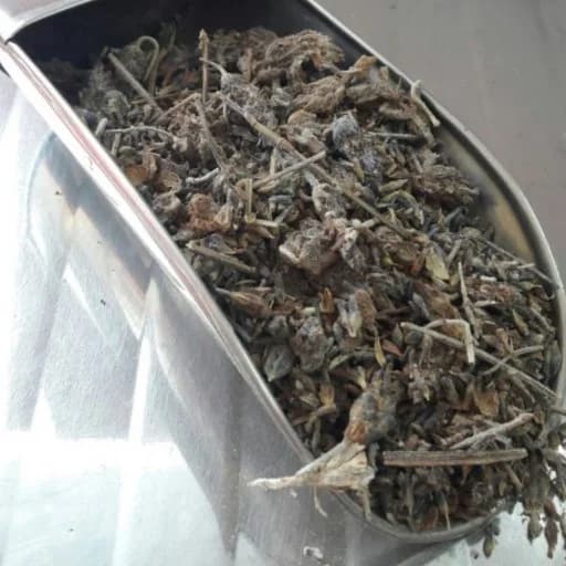 دم نوش اسطوخودوس 50 گرمی