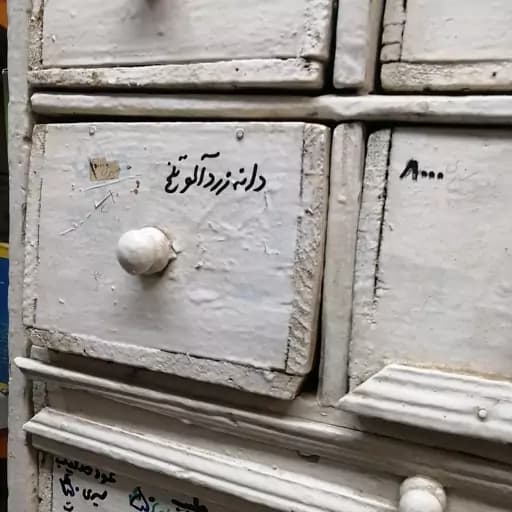 دانه زردالو تلخ 75 گرم — تصویر ۲