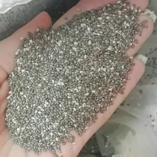 دانه چیا 75 گرم — تصویر ۴