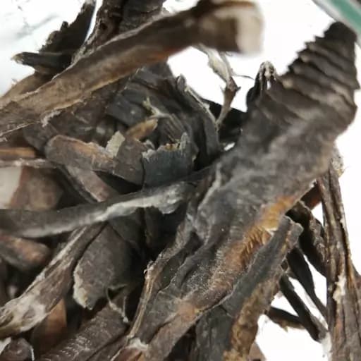 خراطین اصل صد در صد طبیعی — تصویر ۲