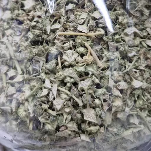 خارشتر نیم کیلو