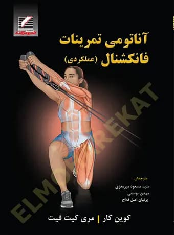 آناتومی تمرینات فانکشنال (عملکردی)