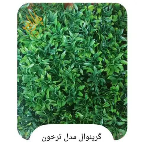 گرین وال ترخون