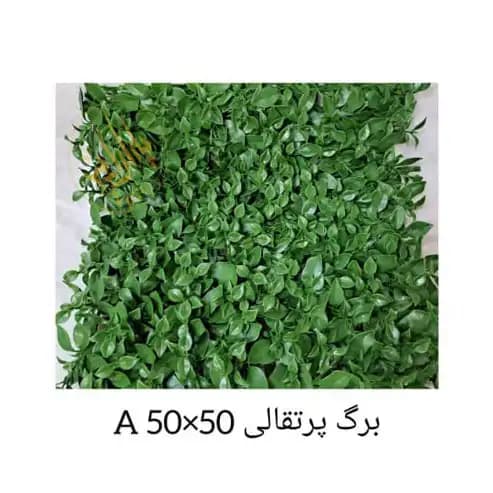 گرین وال پرتقالی