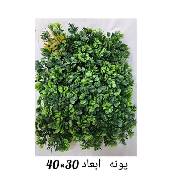 گرین وال پونه
