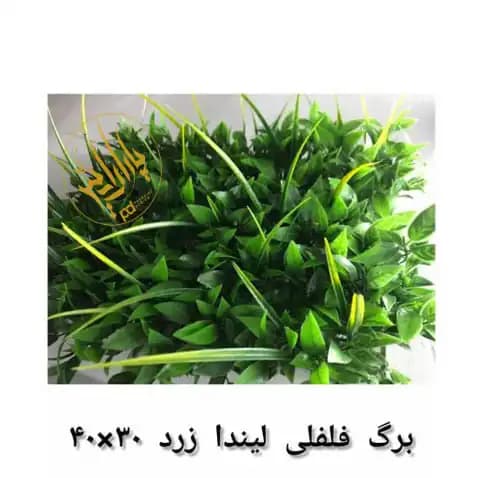 گرین وال فلفلی لیندا زرد