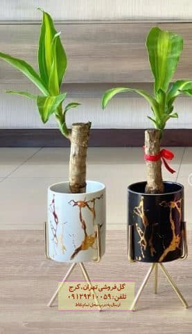 دراسنا بلالی مناسب برای طراحی دکوراسیون داخلی خانه