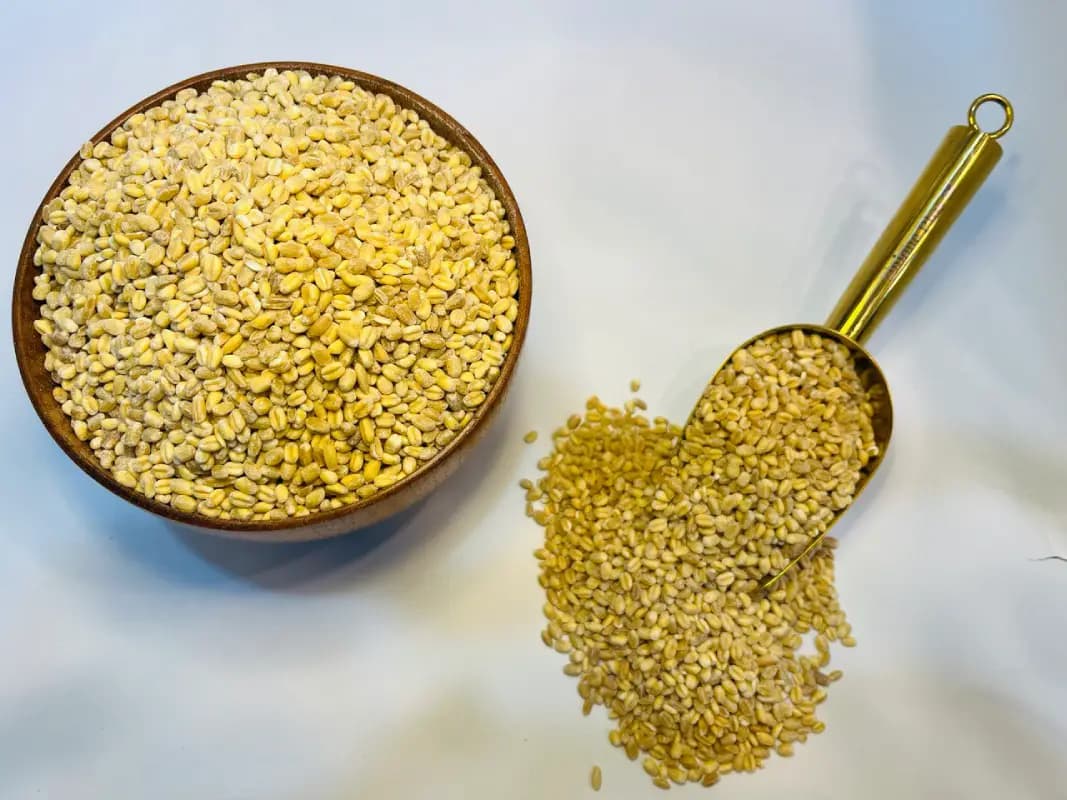 گندم حلیمی آبشار اصفهان پکیج ویژه محرم (هر کیلو ۴۵ هزار تومان)