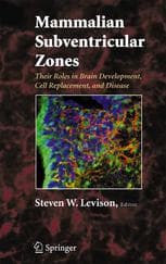 Mammalian Subventricular Zones: Their Roles in Brain Development, Cell Replacement and Disease
